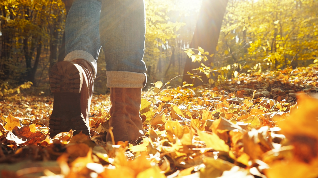 reconnecting with your mental wellness goals