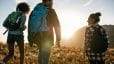staying active and productive can be a big part of maintaining sobriety